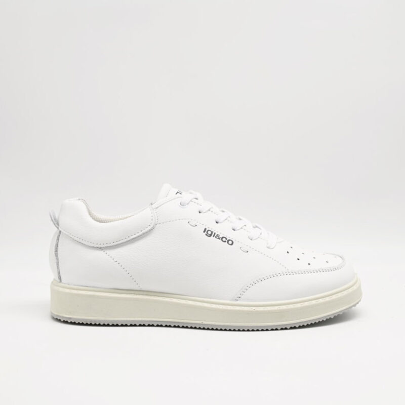 igi&co sneakers pelle 7623211